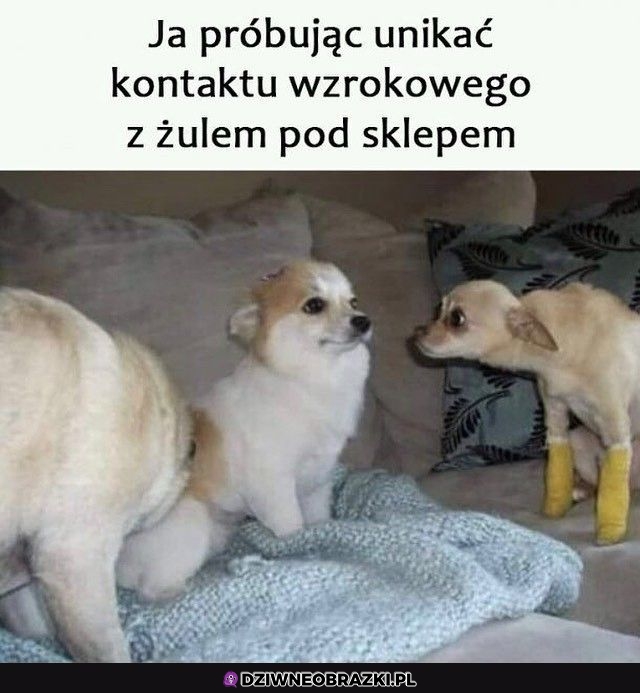 Ten moment