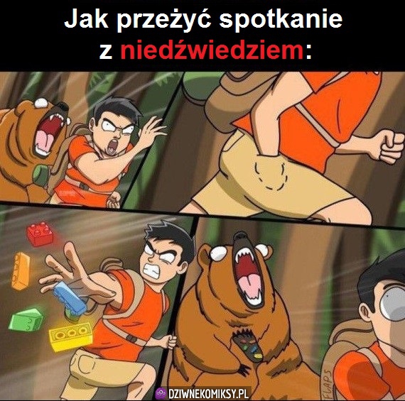 Jak przeżyć spotkanie z niedźwiedziem