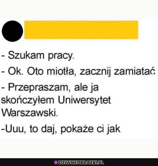 Szukam pracy po UW