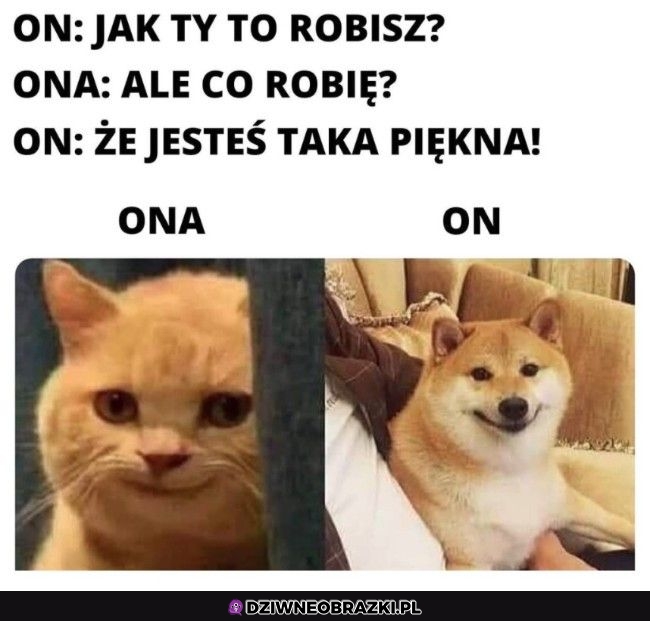 Jak ty to robisz?