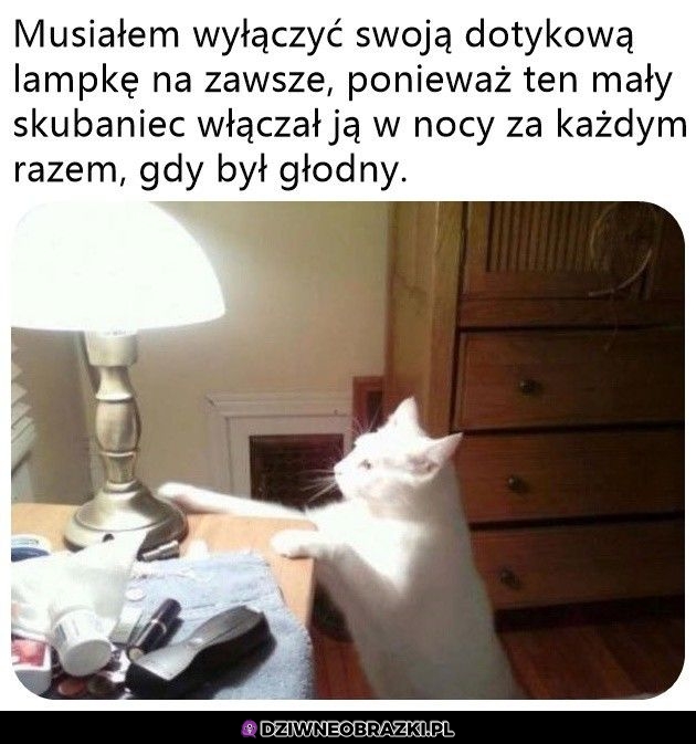 Czyli co pół godziny