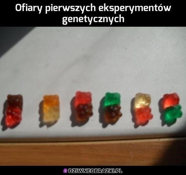 Eksperymenty genetyczne