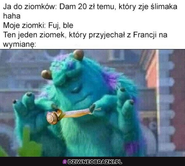 Z przyjemnością