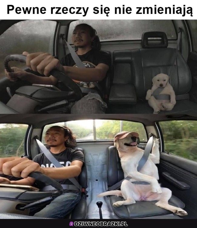 Najlepszy pasażer