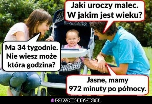 Tak to widzę