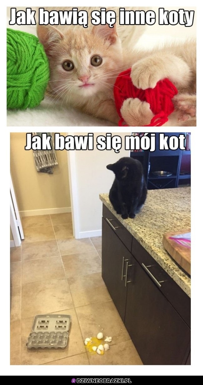 A teraz to sprzątaj 