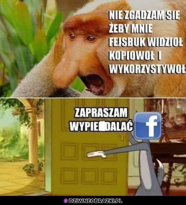 Zapraszam