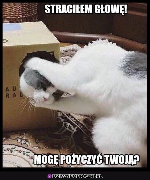 Weź pożycz na chwilę