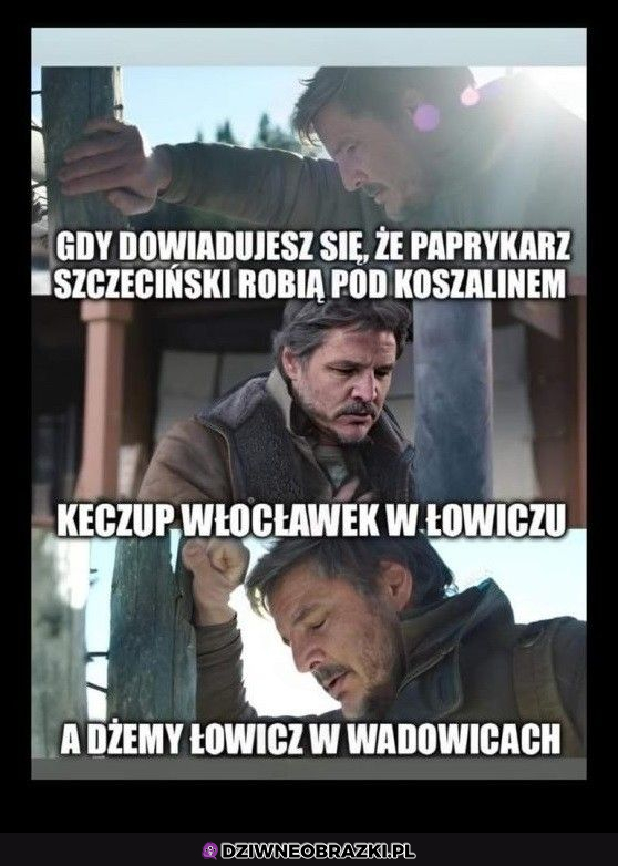 Wszędzie oszustwa