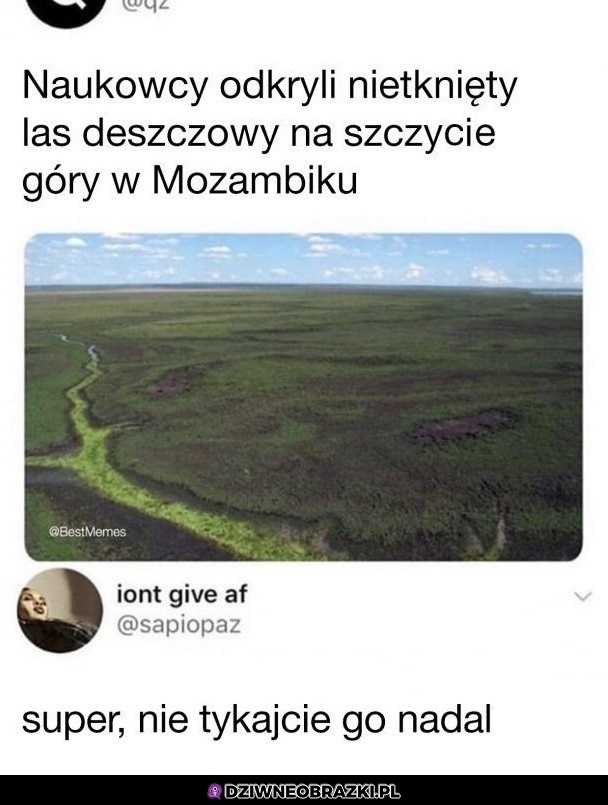 Nietknięty