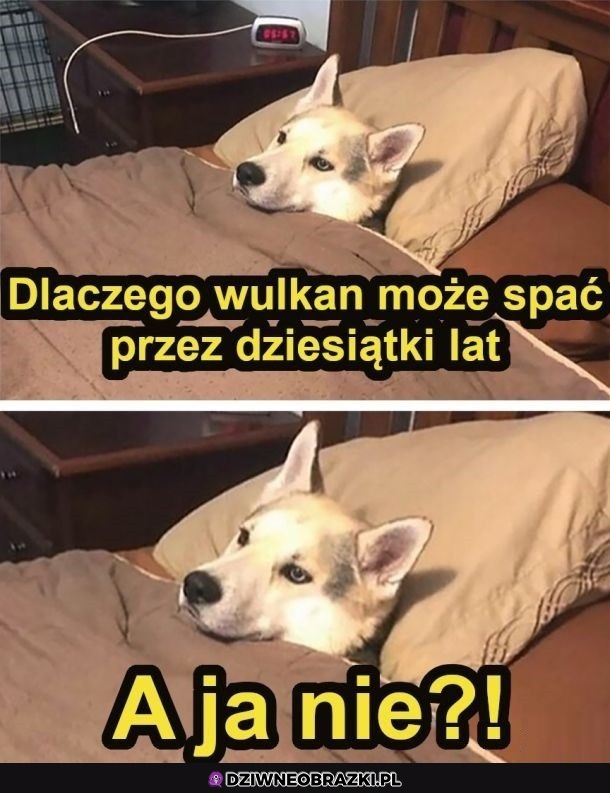 Właśnie