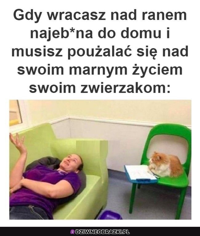 Ten moment