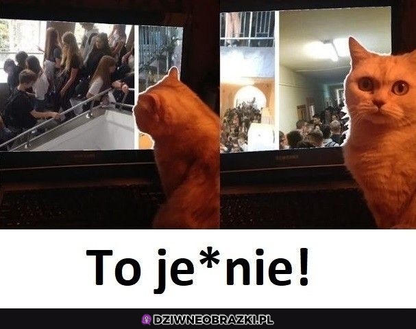 Już to zrobiło
