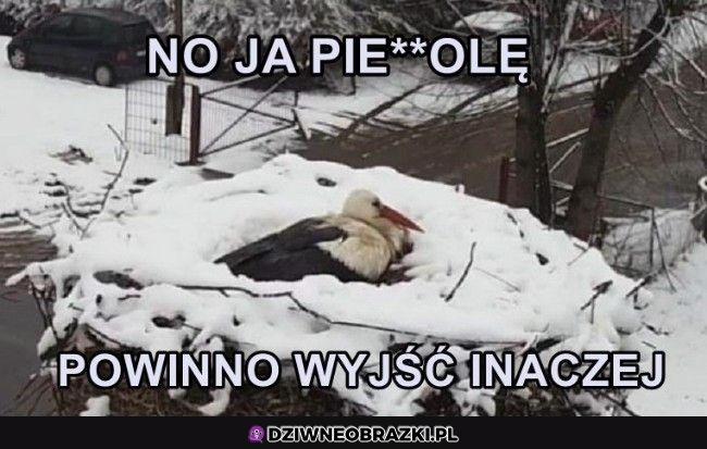 Coś tu nie pykło