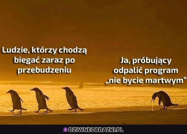 Są dwa rodzaje ludzi