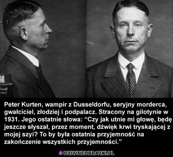 Niezły świr