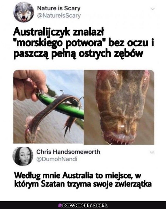 Australia taka jest