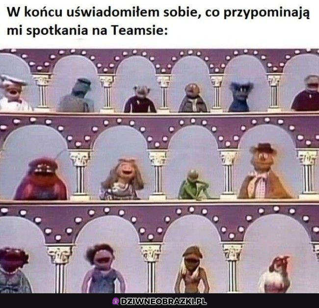 I ja to oczywiście Kermit 