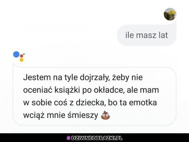 Wszyscy tyle mamy