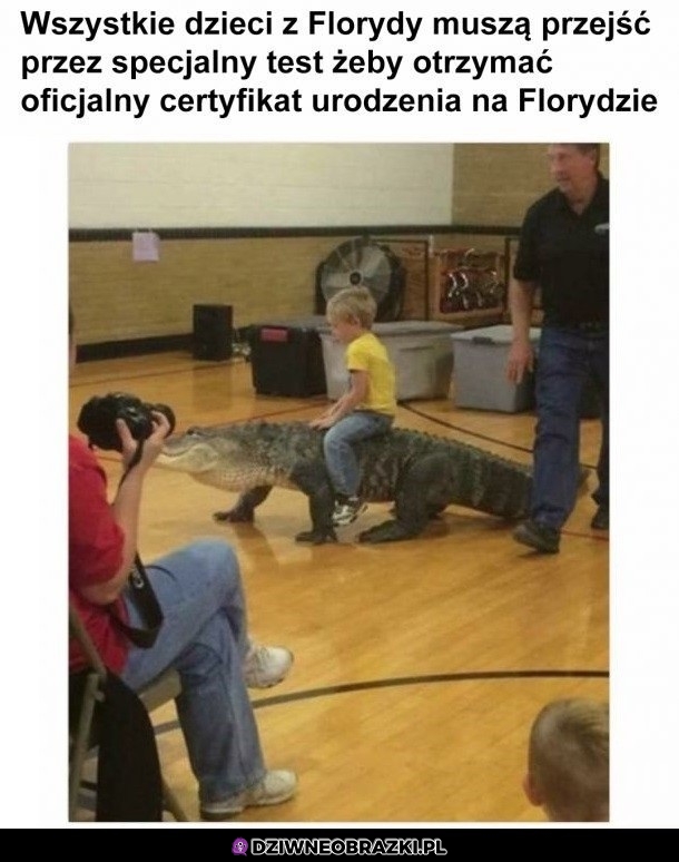 Dziwny ten kucyk