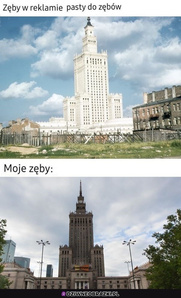 Takie ząbki