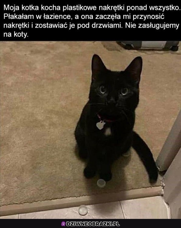 Najlepsze kitku