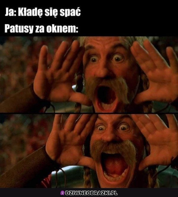 Kiedy chcesz spać