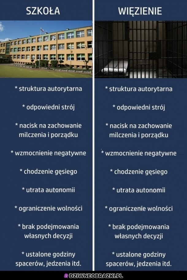 Zgadzacie się z takim porównaniem?