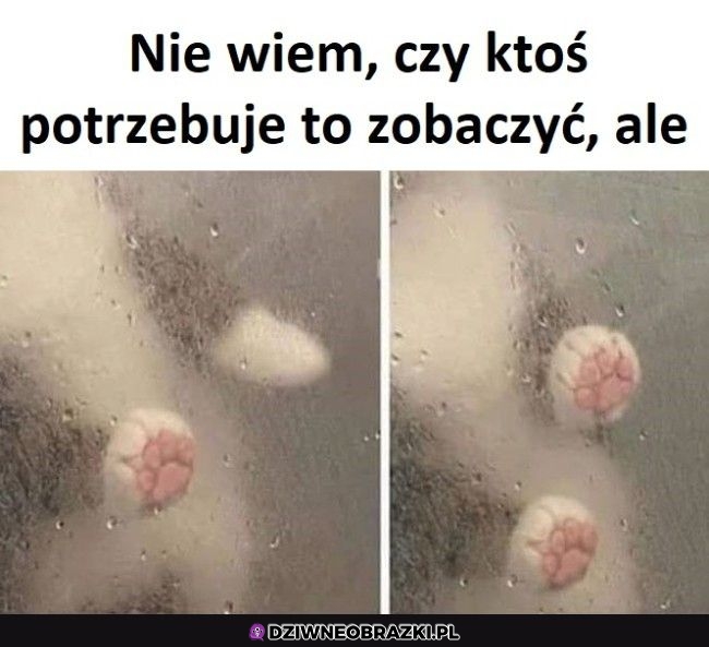Ja potrzebowałem