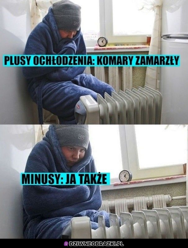 Plusy i minusy