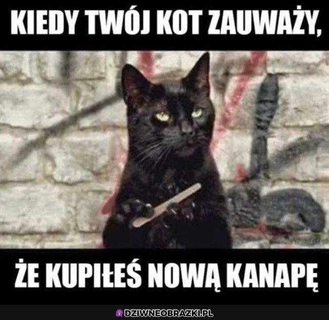 Pazurki czas naostrzyć