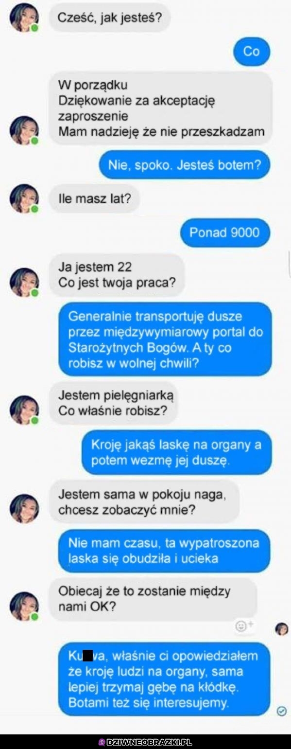 Genialna rozmowa z botem na fejsie