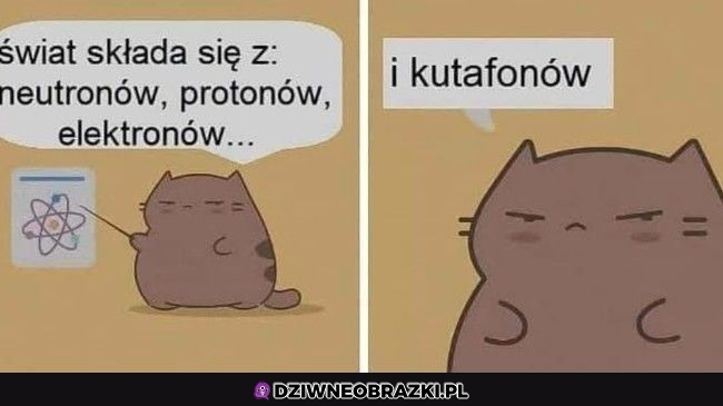 Skład świata
