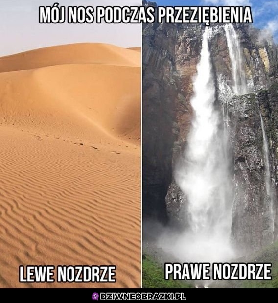 Zawsze to samo