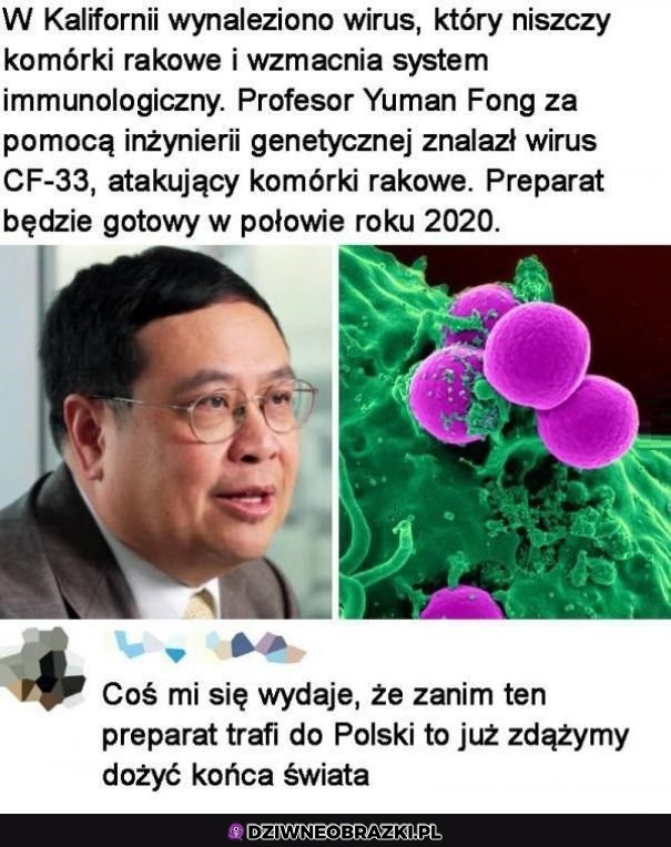 Mam nadzieję, że to nie fejk