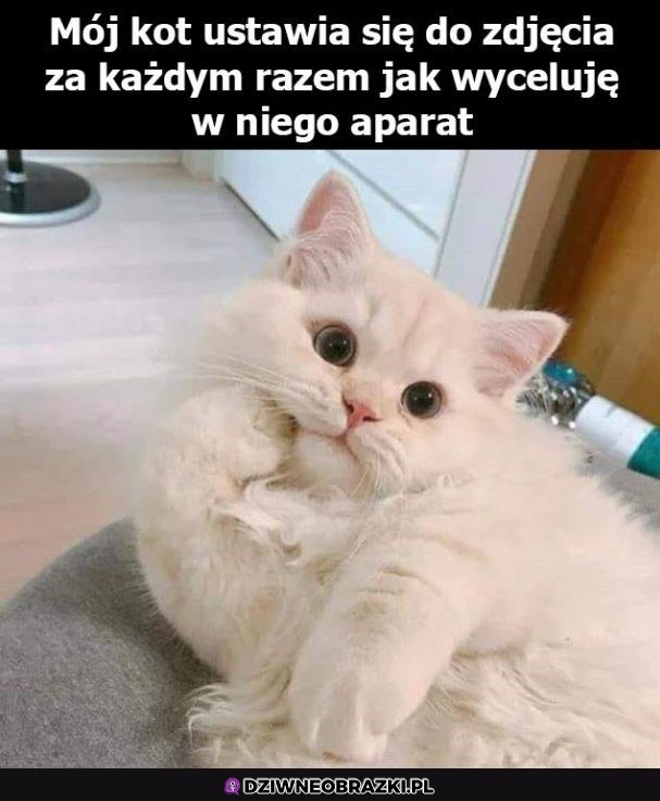 Influencer