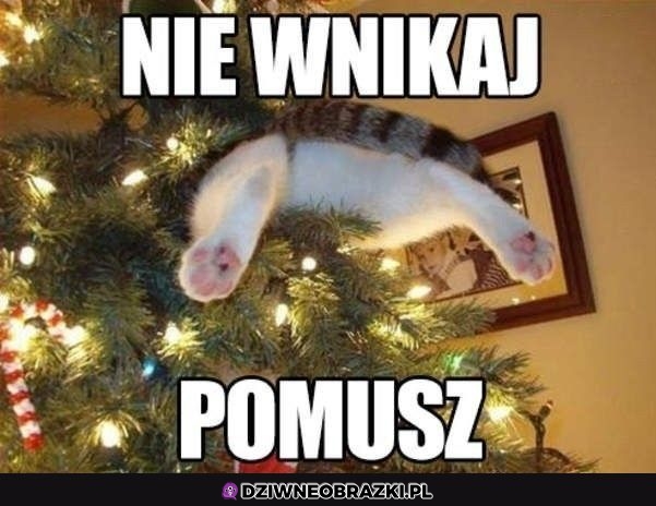 Ratuj człowiek