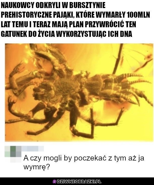 Poczekajmy chwile z tym