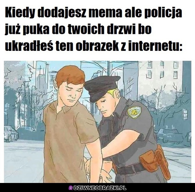 Policja memiczna