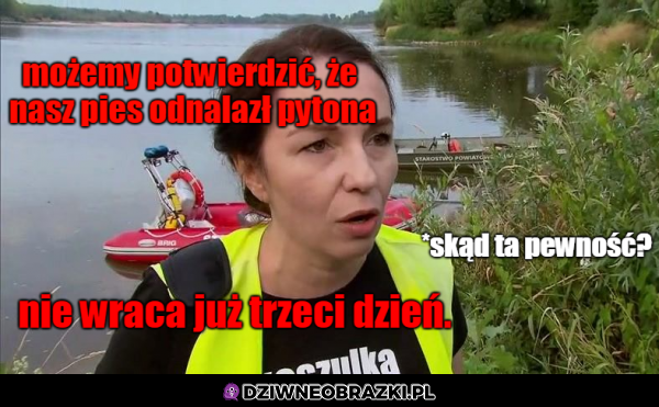 Znalazł pytona