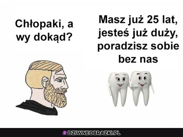 Zęby tak mają