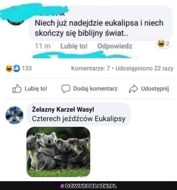 Eukalipsa