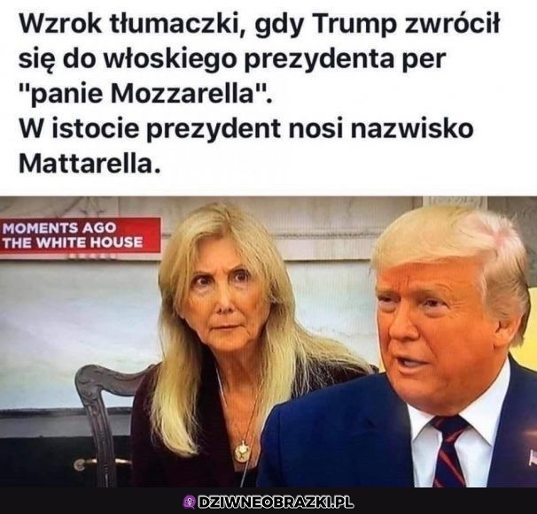 Ta panika