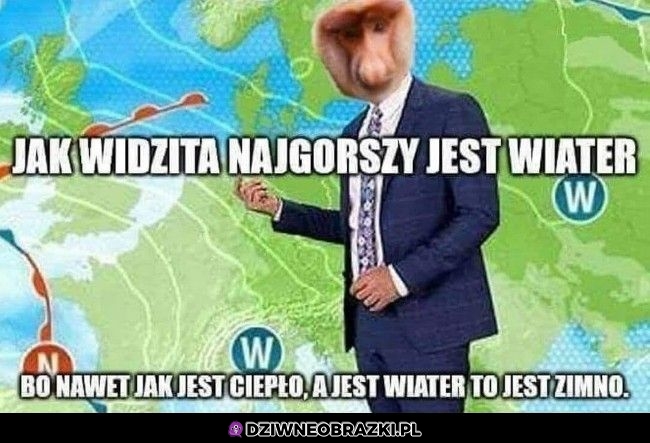 Jak widzita