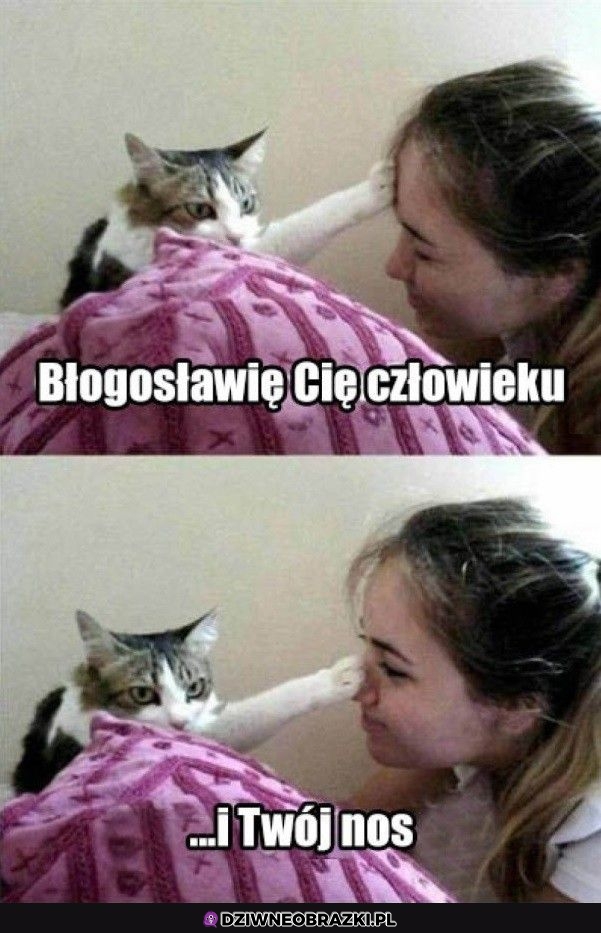 Błogosławieństwo