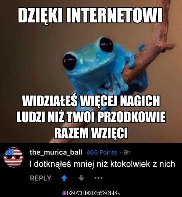 Wszystko przez ten Internet