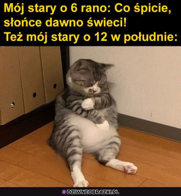 Mój stary