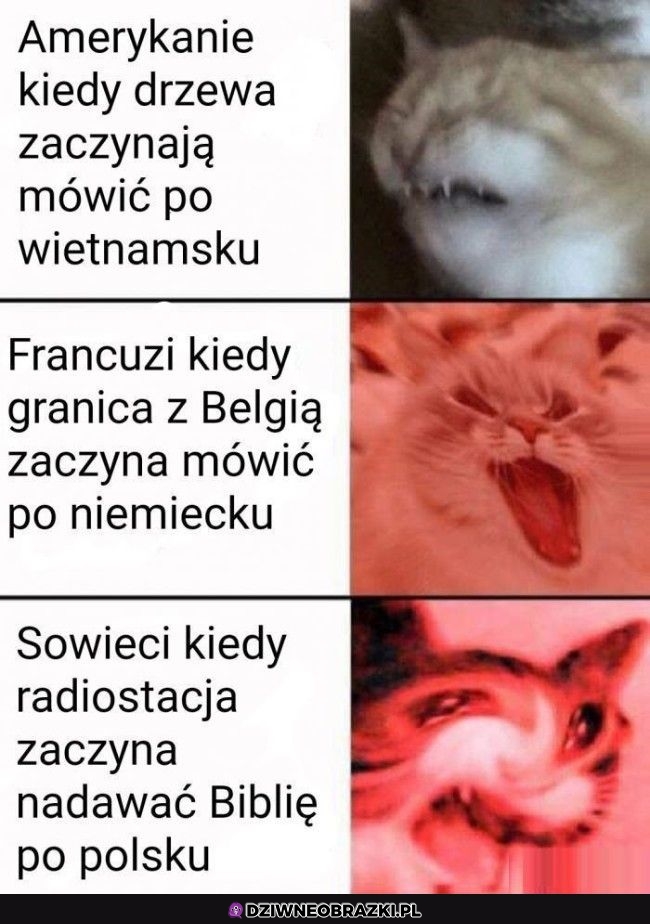 Ten moment