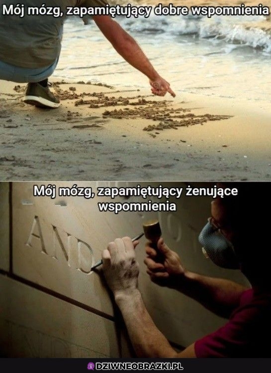 Dzięki mózgu
