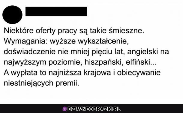 Oferty pracy